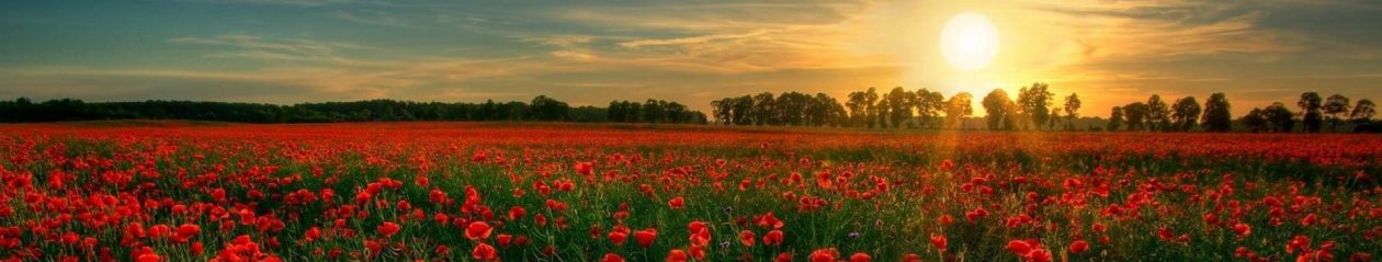 Tárnok Nagyközség Önkormányzata